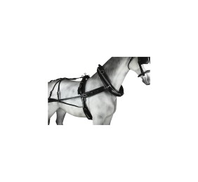 Enganche sencillo collarón inglés diplomático cuero