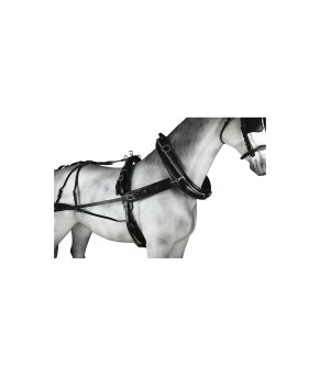 Enganche sencillo collarón inglés diplomático cuero