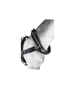 Enganche sencillo collarón inglés diplomático cuero