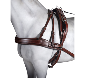 Enganche sencillo collarón super diplomático cuero