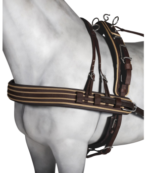 Enganche sencillo PP combinado suelte rápido