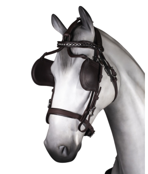 Enganche sencillo Tannery anatómico