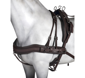 Enganche sencillo Tannery anatómico