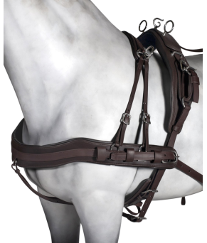 Enganche sencillo Tannery anatómico