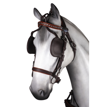 Enganche sencillo Tannery anatómico