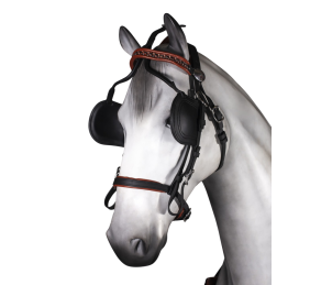 Enganche sencillo Tannery anatómico