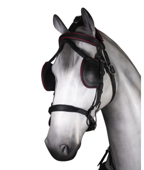 Enganche sencillo Tannery anatómico