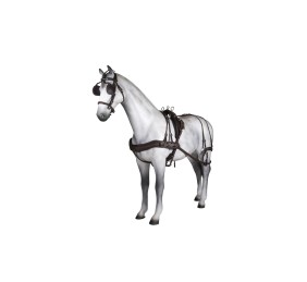 Enganche sencillo Tannery anatómico