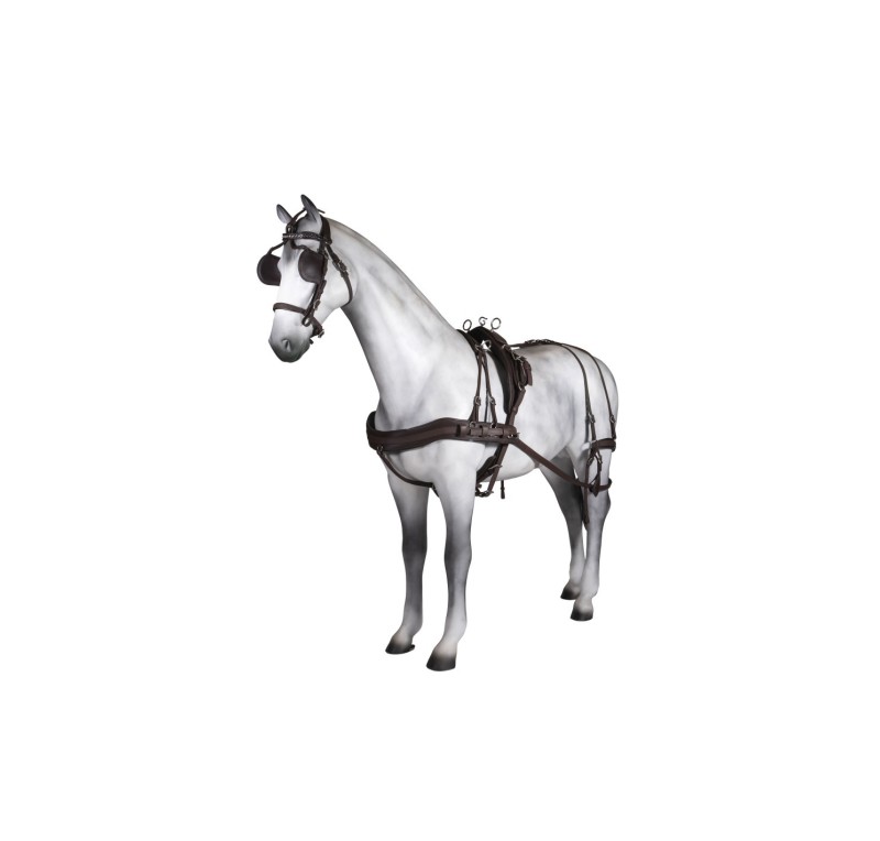 Enganche sencillo Tannery anatómico