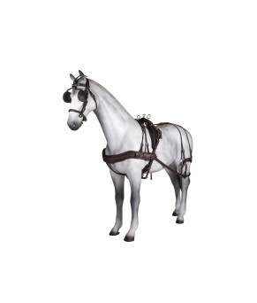 Enganche sencillo Tannery anatómico