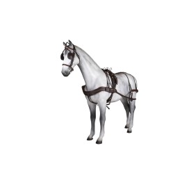 Enganche sencillo Tannery anatómico