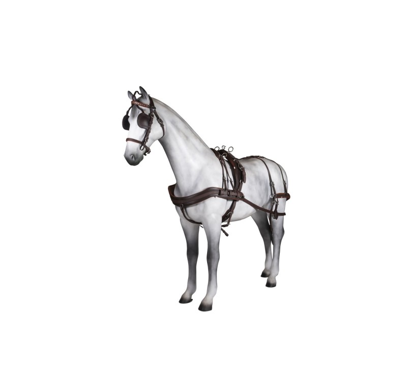 Enganche sencillo Tannery anatómico