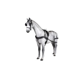 Enganche sencillo Tannery anatómico