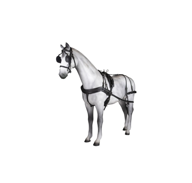 Enganche sencillo Tannery anatómico