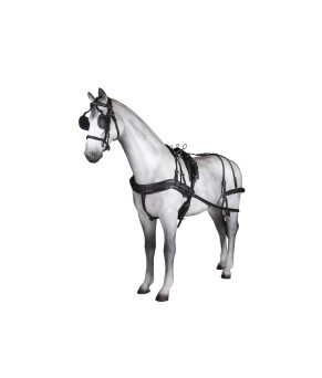 Enganche sencillo Tannery anatómico