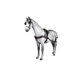 Enganche sencillo Tannery anatómico