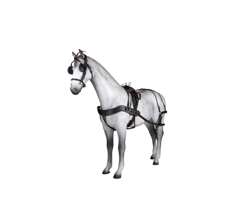 Enganche sencillo Tannery anatómico