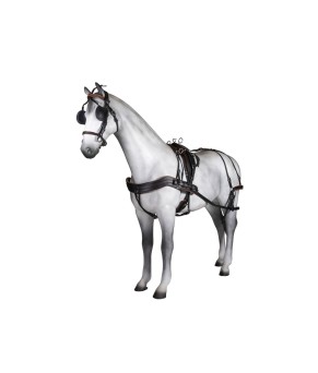 Enganche sencillo Tannery anatómico