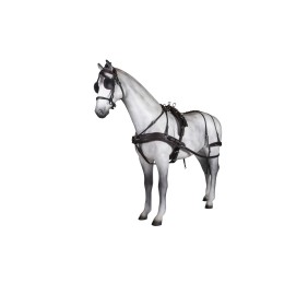 Enganche sencillo Tannery anatómico