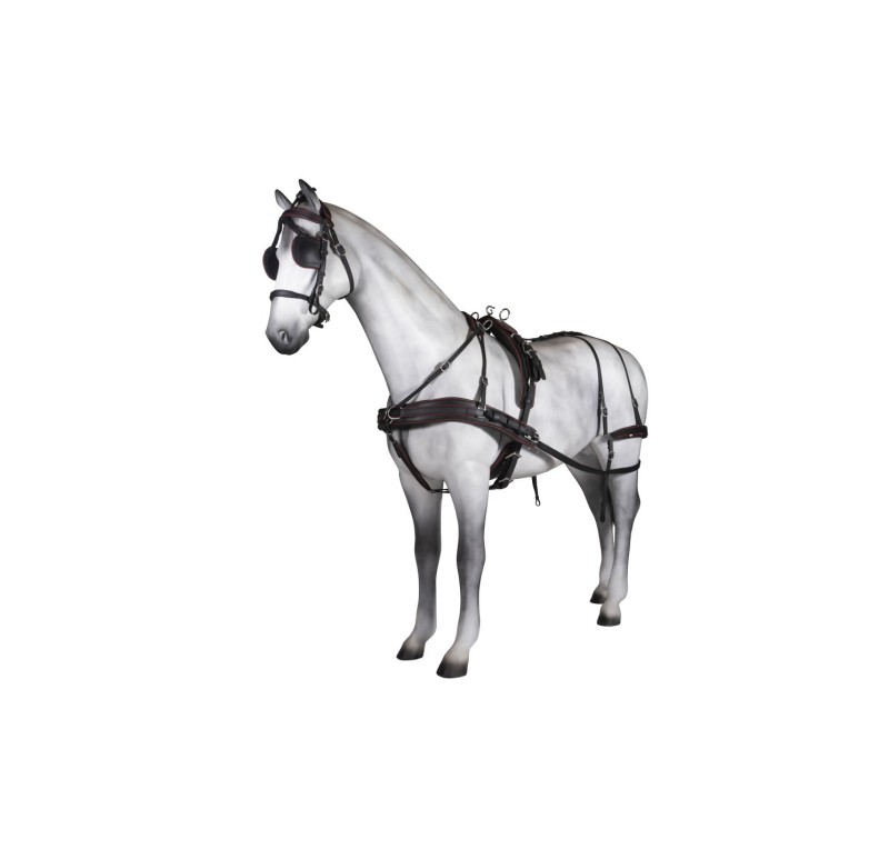 Enganche sencillo Tannery anatómico