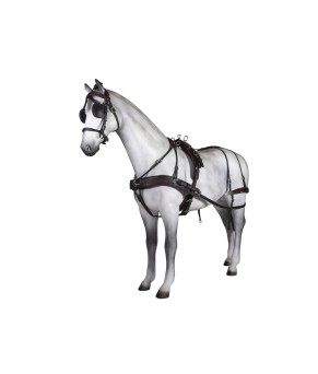 Enganche sencillo Tannery anatómico