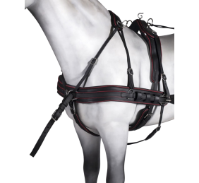 Enganche doble tannery anatómico | Poni