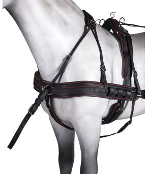 Enganche doble tannery anatómico | Poni