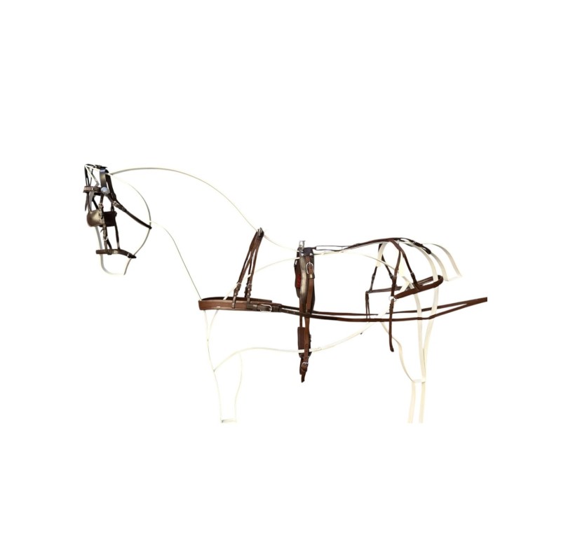 Enganche sencillo de cuero y nylon | Poni