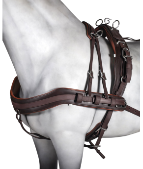 Enganche sencillo tannery anatómico | Poni