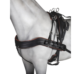 Enganche sencillo tannery anatómico | Poni