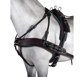 Enganche sencillo tannery anatómico | Poni