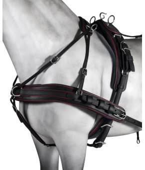 Enganche sencillo tannery anatómico | Poni