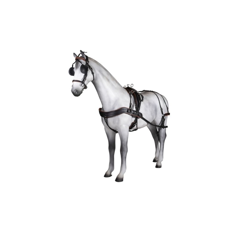 Enganche sencillo tannery anatómico | Poni