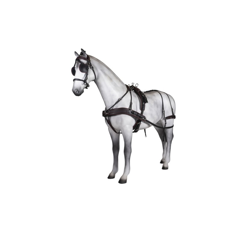 Enganche sencillo tannery anatómico | Poni