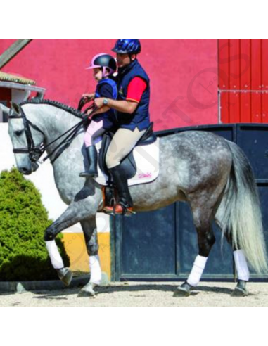 Asiento Adaptador de Silla para Niños