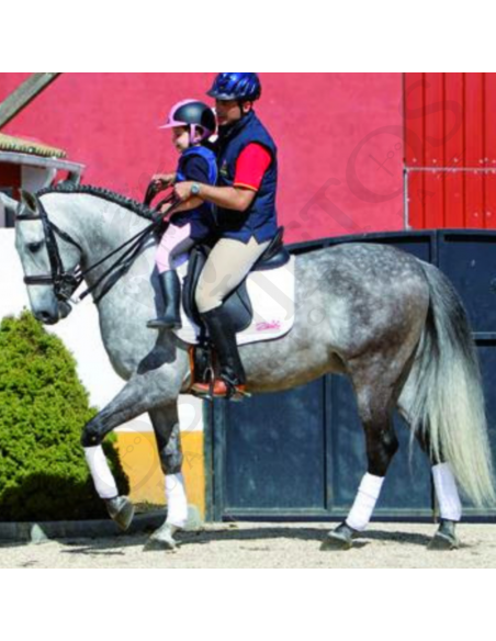 Asiento Adaptador de Silla para Niños