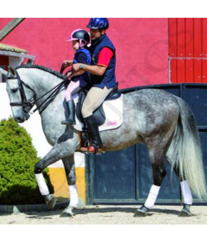 Asiento Adaptador de Silla para Niños