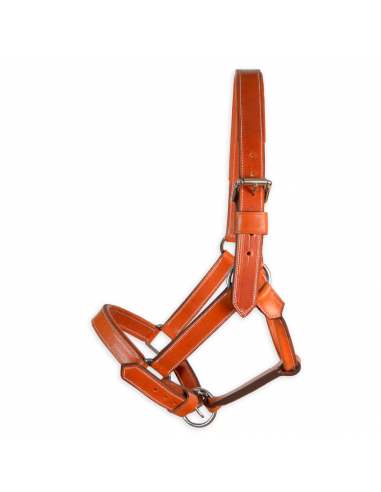 Cabezada de cuadra 'Los Nietos' |...