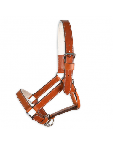 Cabezada de cuadra 'Los Nietos' |...