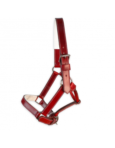 Cabezada de cuadra 'Los Nietos' |...