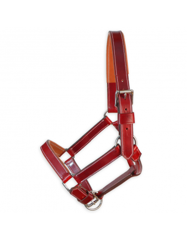 Cabezada de cuadra 'Los Nietos' |...