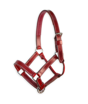 Cabezada de cuadra 'Los Nietos' | Cereza