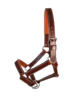 Cabezada de cuadra 'Los Nietos' | Marrón y avellana