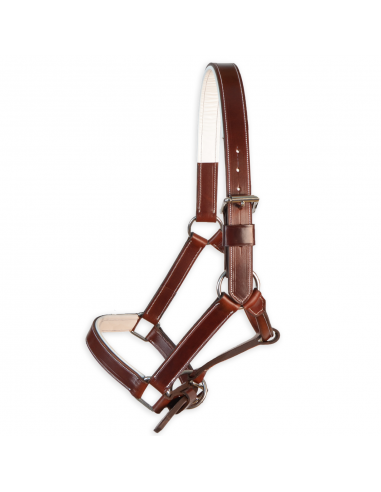 Cabezada de cuadra 'Los Nietos' |...