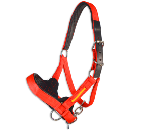 Cabezada cuadra nylon extra "Los Nietos Dressage" | Varios colores