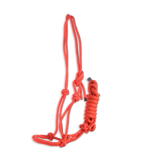 Cabezada de cuerda Eco 'Los Nietos Dressage'