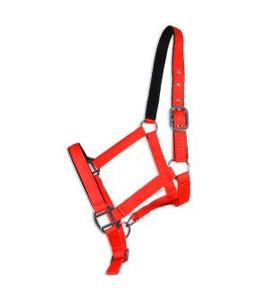 Cabezada cuadra Eco "Los Nietos Dressage"| Varios colores