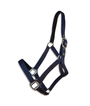 Cabezada cuadra Eco "Los Nietos Dressage"| Varios colores