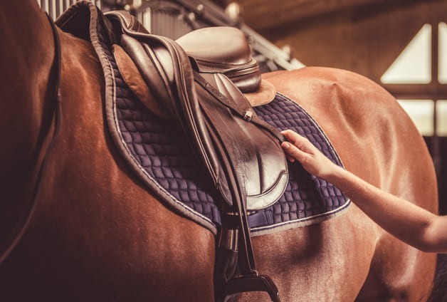 Sillas de Montar a Caballo